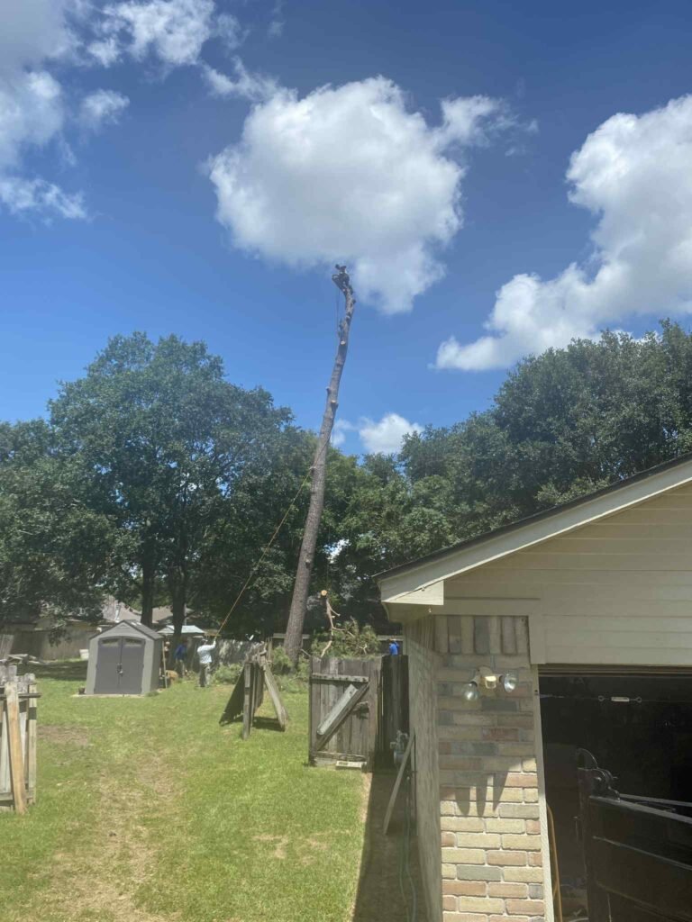 615a4631-f00e-4f86-8c28-7a6d458f3606