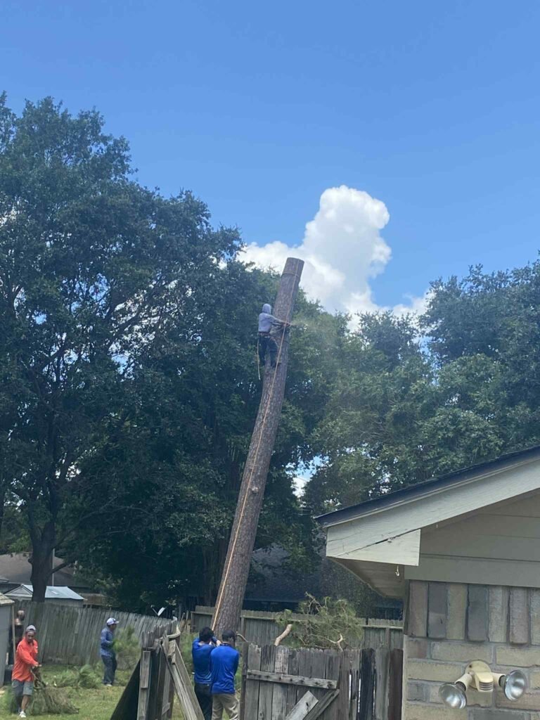 d751b28d-ace3-4988-9453-3dccf1b67970