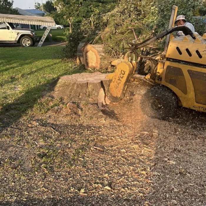 11049a10-7507-4313-8d53-fb81bbfabac5