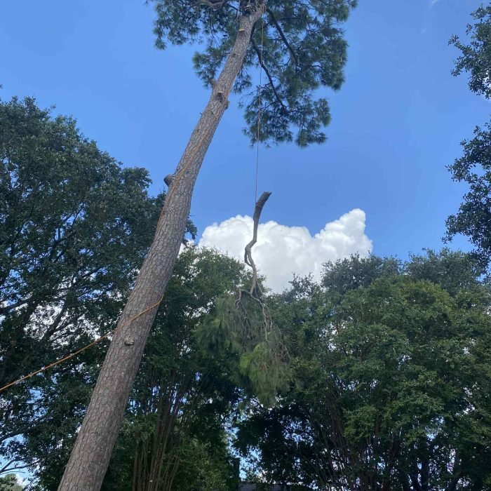 1bce1443-efd2-4380-88cd-5bb261ae521a