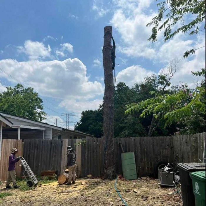 1c43f089-0f8e-4e7a-a36b-8a71df28d3a7