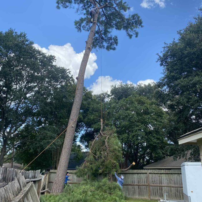 578cd5d4-a3f6-4383-86d9-d93a72a4b9fc