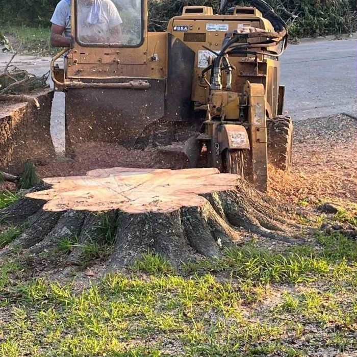 58905ac7-8108-4c53-8f97-5dc04c81fc8e