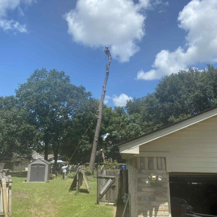 615a4631-f00e-4f86-8c28-7a6d458f3606