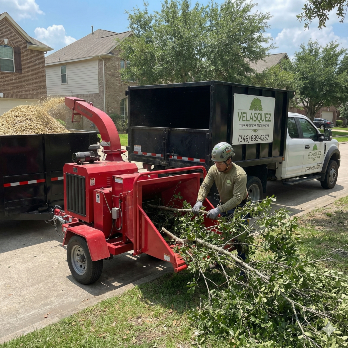 Gemini_Generated_Image_3v7l4w3v7l4w3v7l