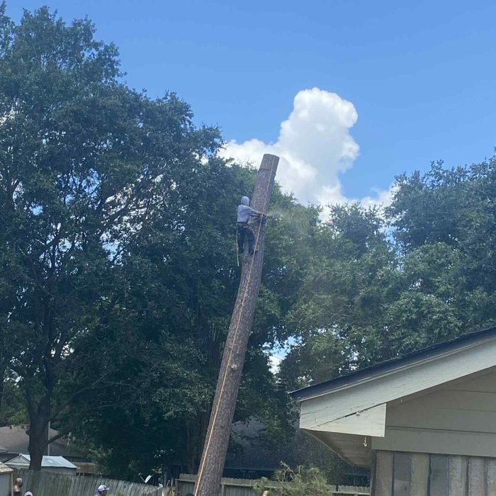 d751b28d-ace3-4988-9453-3dccf1b67970